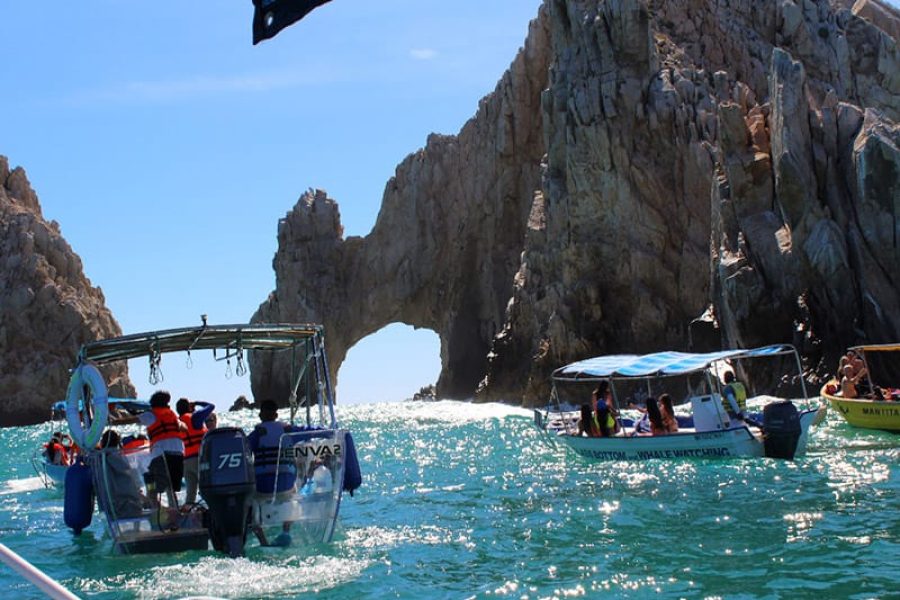 Encounter in Los Cabos