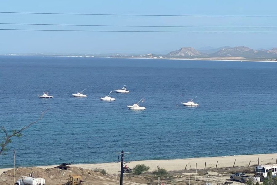 Duo Paraiso – Balandra beach & La Ribera in spring
